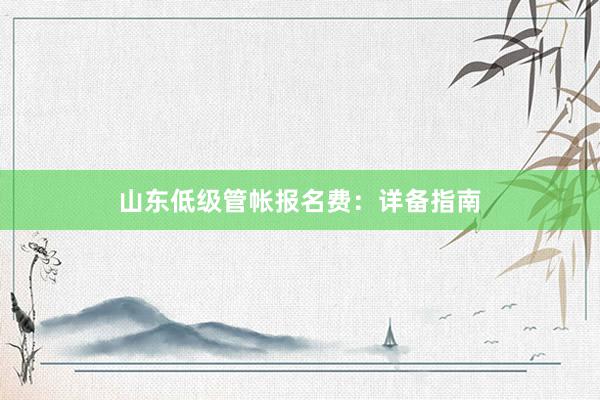 山东低级管帐报名费：详备指南