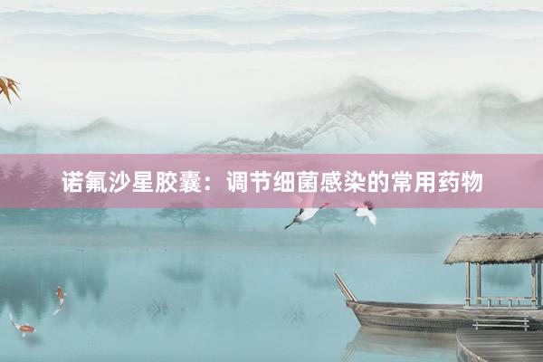 诺氟沙星胶囊：调节细菌感染的常用药物