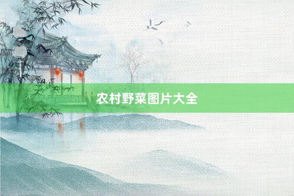 农村野菜图片大全