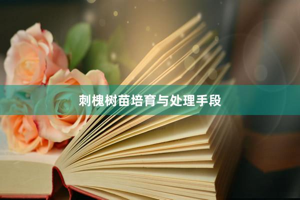 刺槐树苗培育与处理手段