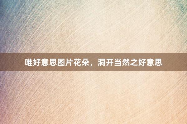 唯好意思图片花朵，洞开当然之好意思