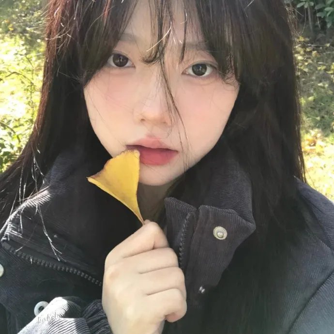 芝加哥警署第四季